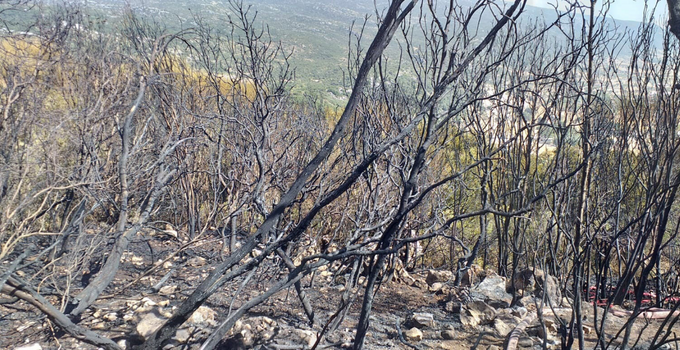 Antalya’da 5 saat süren makilik yangınında 10 hektar alan kül oldu