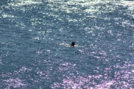 Antalya’da deniz suyu 18 derece; turistler denizde